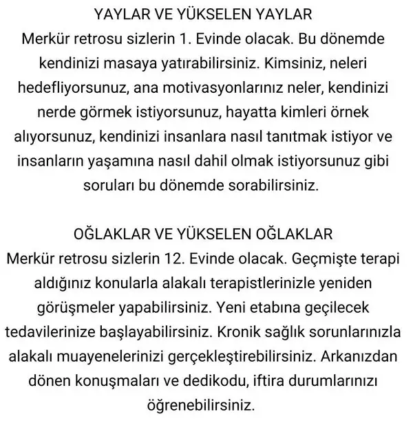 mer4 (7).webp