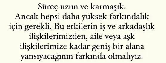 mer4 (8).webp