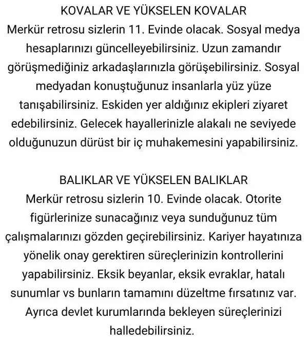 mer4 (8).webp