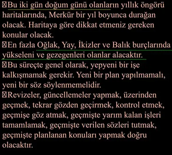 mer44 (2).webp