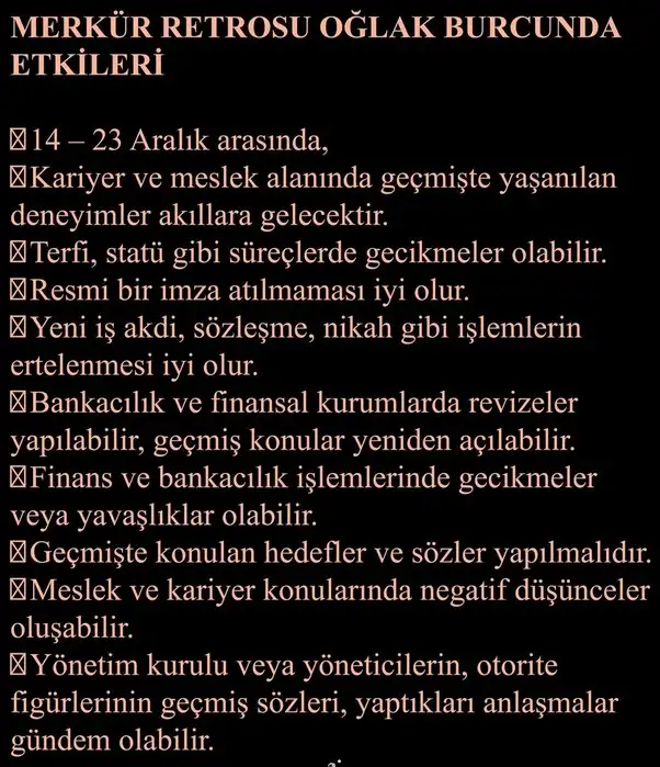 mer44 (4).webp