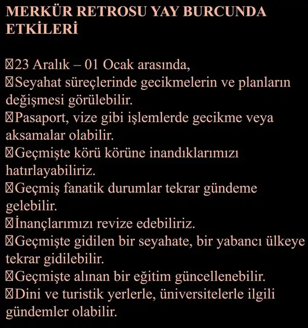 mer44 (5).webp