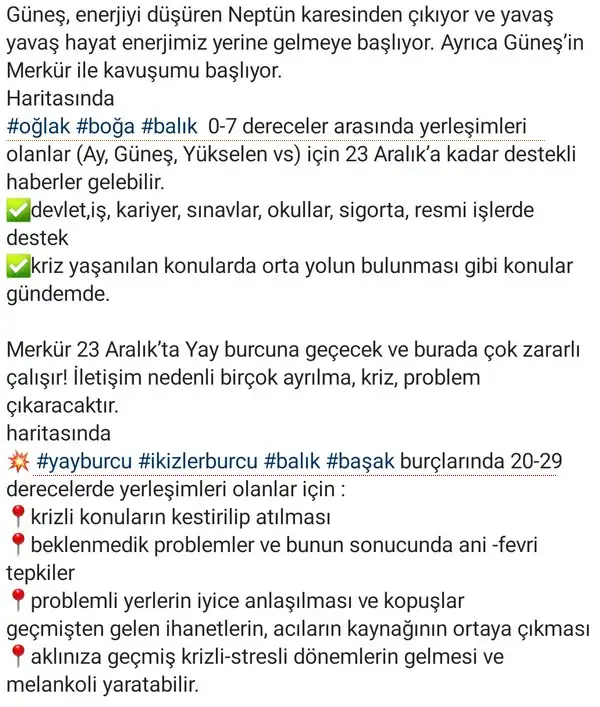 mer46 (2).webp
