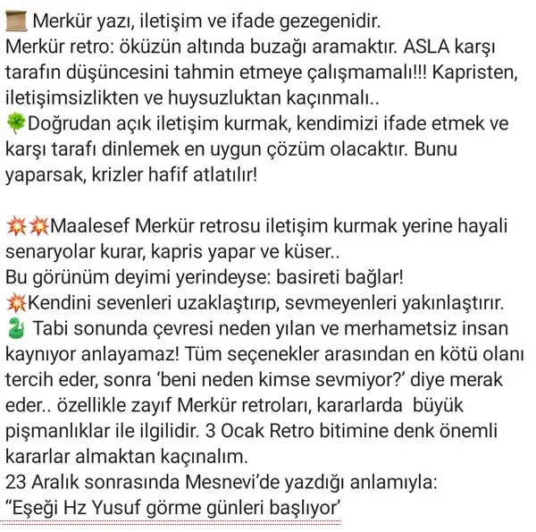 mer46 (3).webp