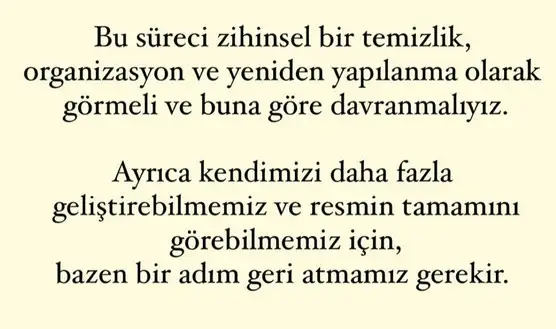 mer5 (10).webp