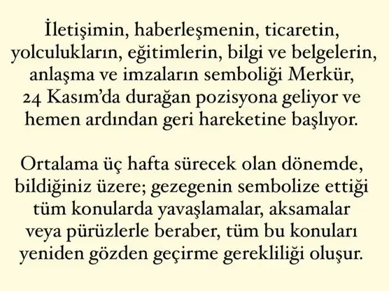 mer5 (2).webp