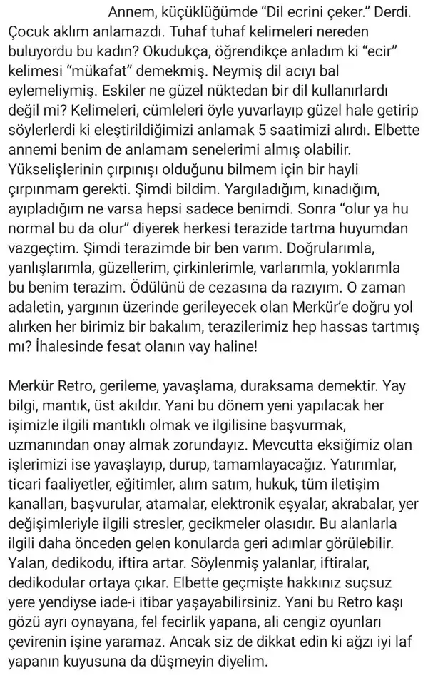 mer5 (2).webp