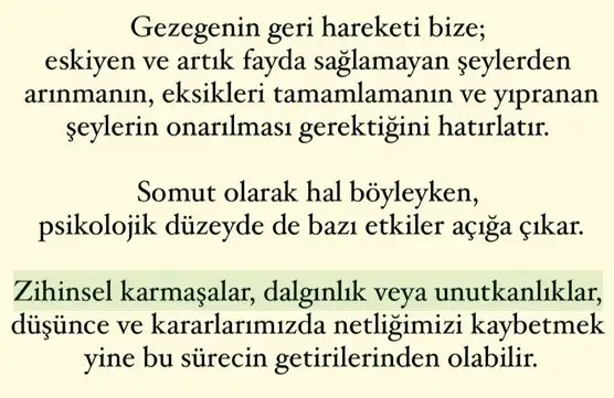 mer5 (3).webp