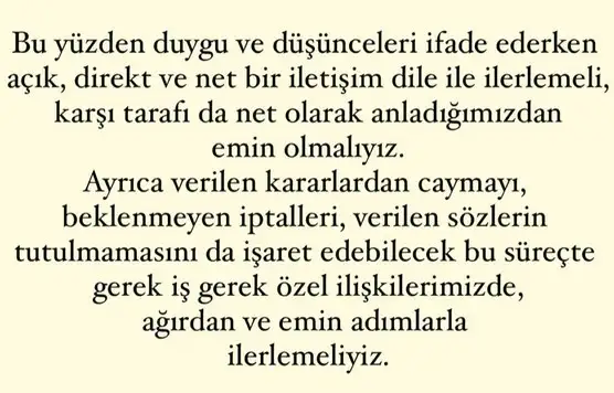 mer5 (7).webp