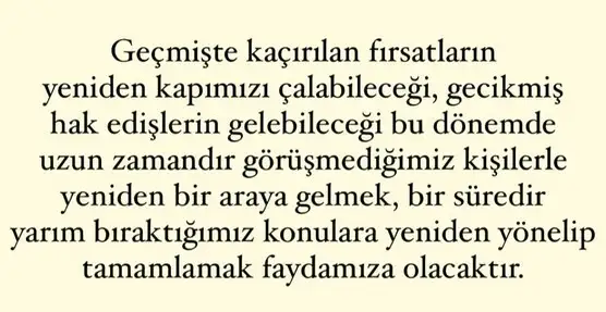 mer5 (8).webp