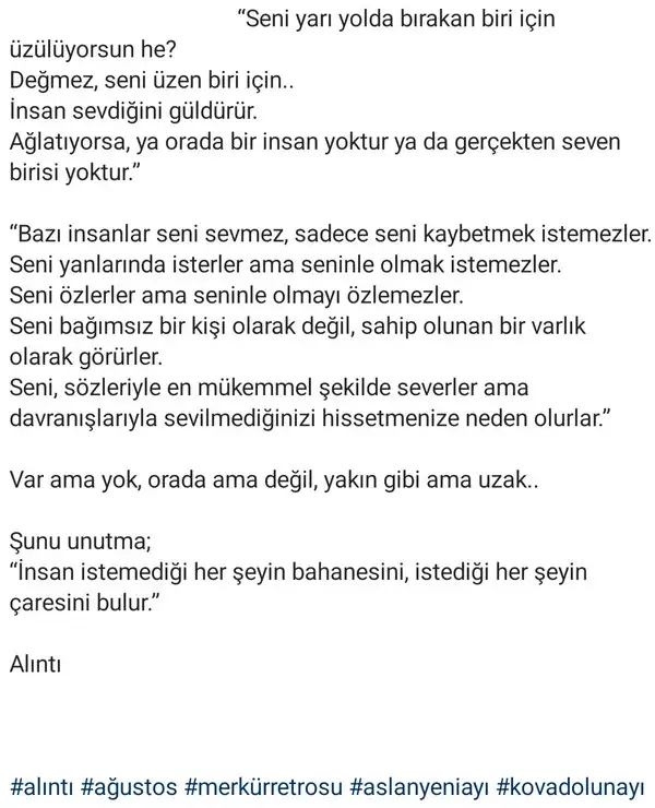mer55 (2).webp