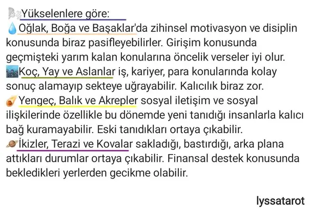 mer7 (2).webp