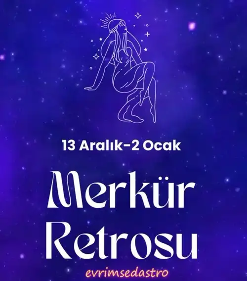 mer9 (1).webp