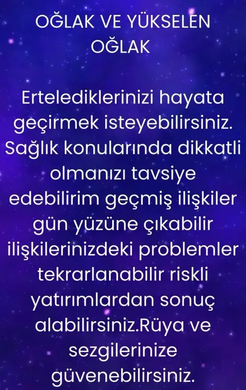 mer9 (13).webp