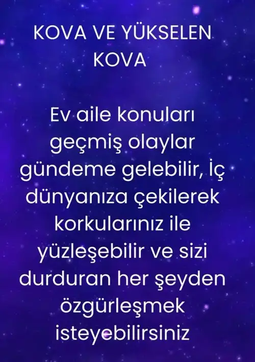 mer9 (14).webp