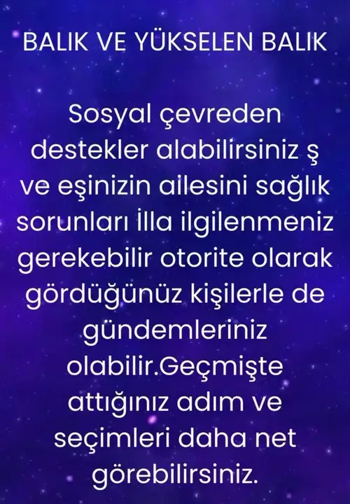 mer9 (15).webp