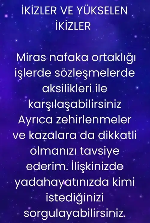 mer9 (5).webp