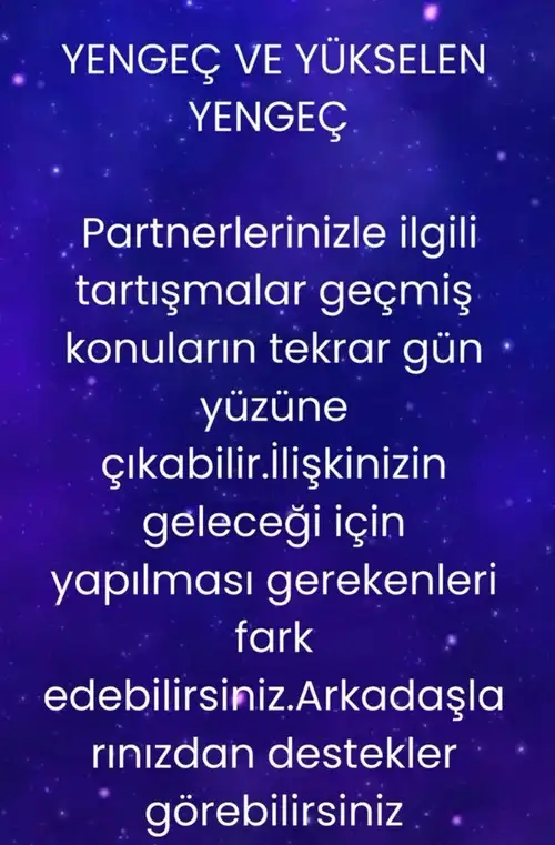 mer9 (6).webp