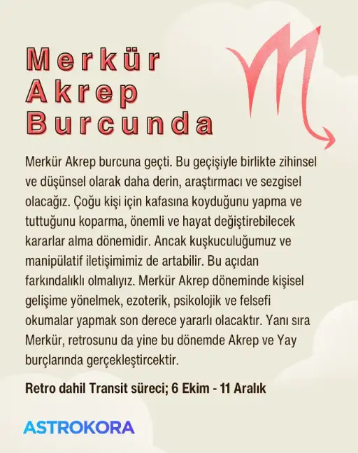 merakr.webp