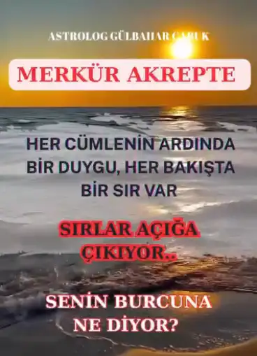 merakr.webp