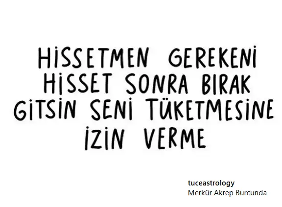 merakr.webp