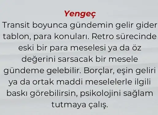 meras12 (4).webp
