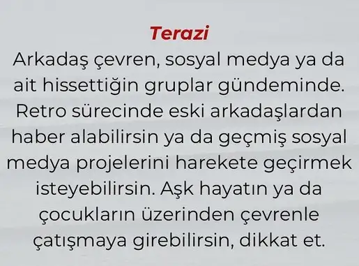 meras12 (7).webp
