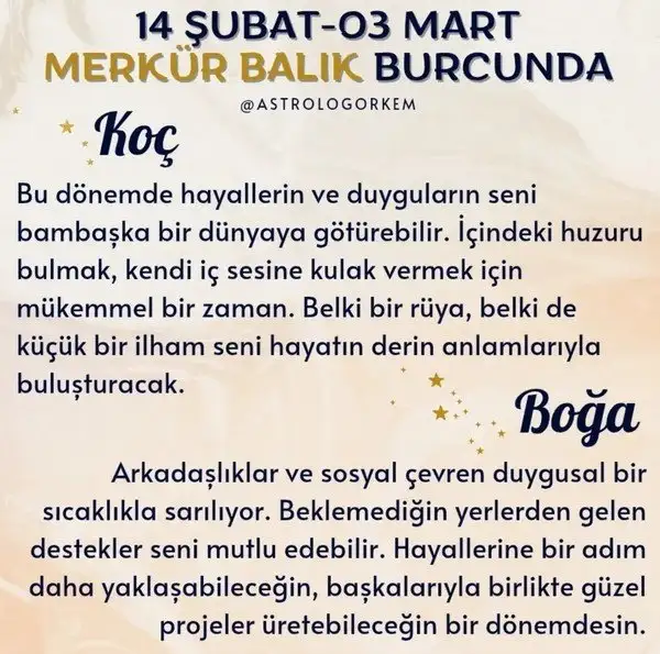 merbal1 (1).webp