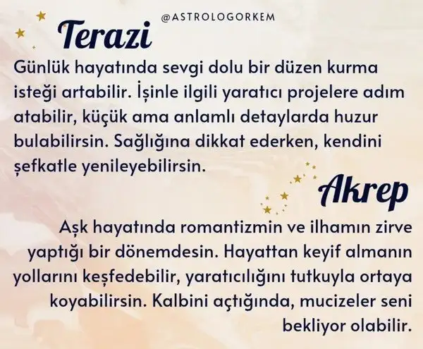 merbal1 (4).webp