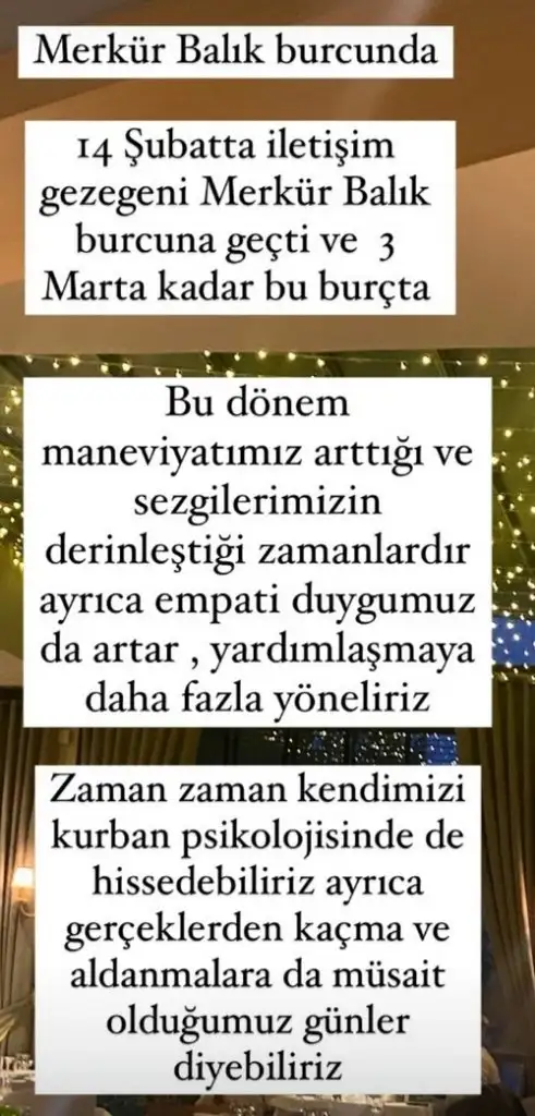 merbal10 (1).webp