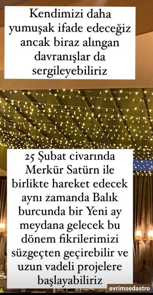merbal10 (2).webp