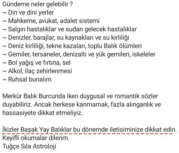 merbal11 (2).webp