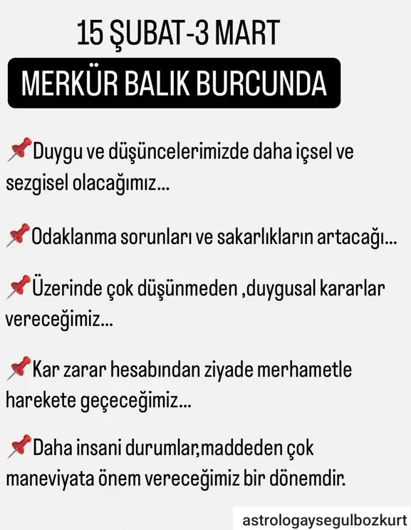 merbal11.webp