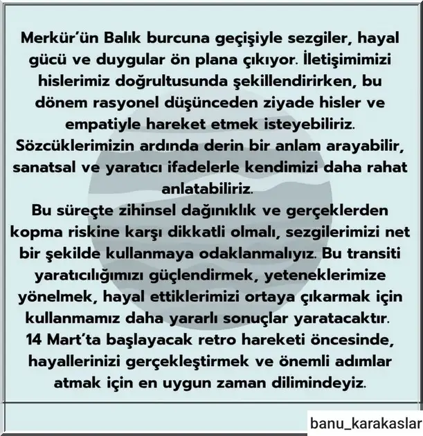 merbal3.webp