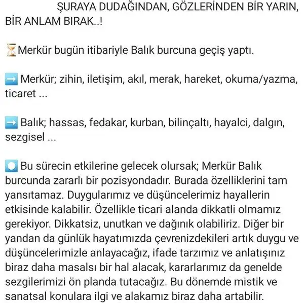 merbal4 (8) - Kopya.webp