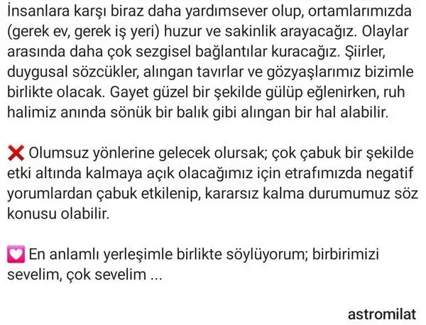 merbal4 (8).webp