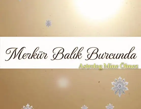merbal6 (1).webp