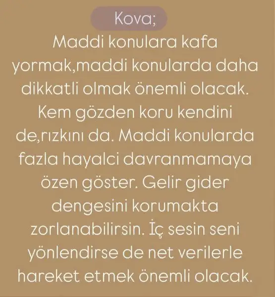 merbal6 (12).webp