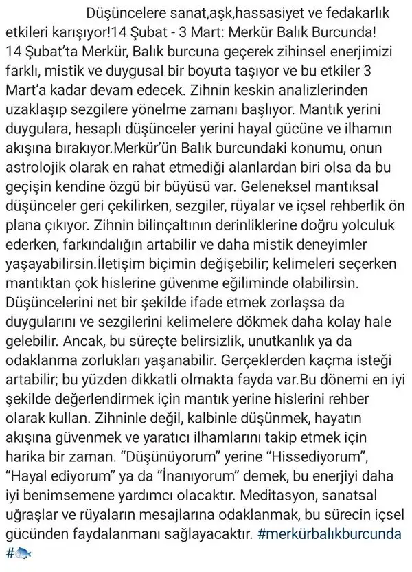 merbal6 (14).webp