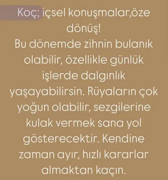 merbal6 (2).webp