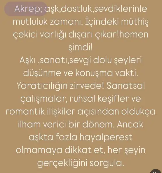 merbal6 (9).webp