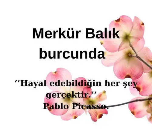 merbal8 (1).webp