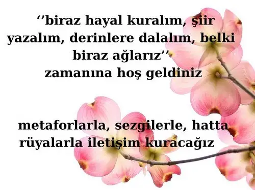 merbal8 (2).webp