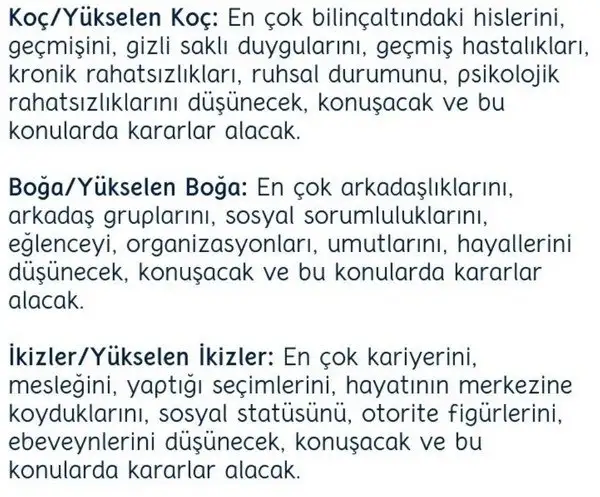 merbal8 (4).webp