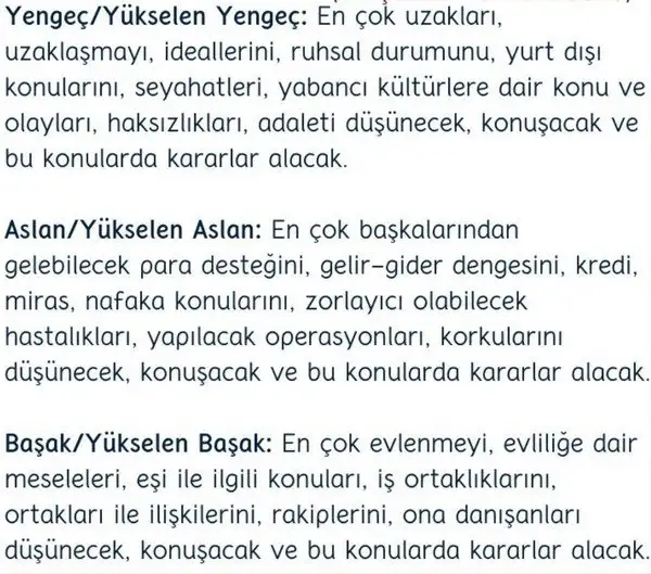 merbal8 (5).webp