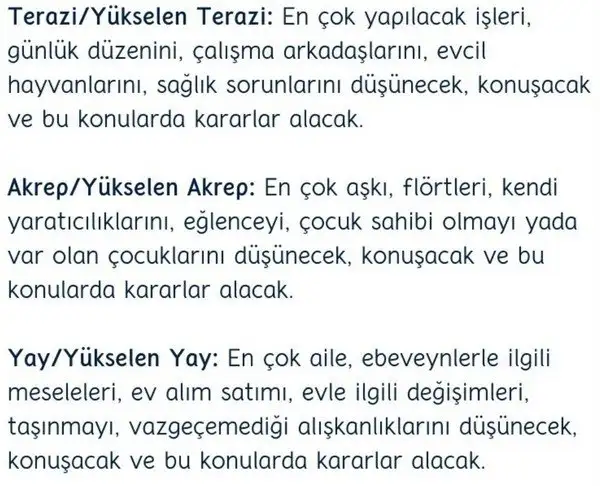 merbal8 (6).webp