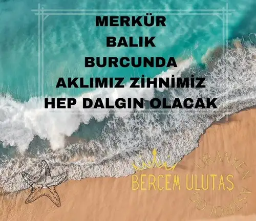 merbal9.webp