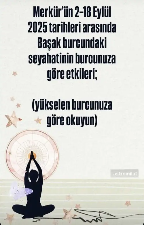 merbas2 (1).webp