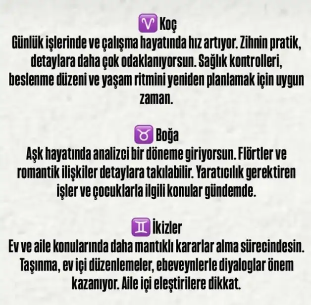 merbas2 (2) - Kopya.webp