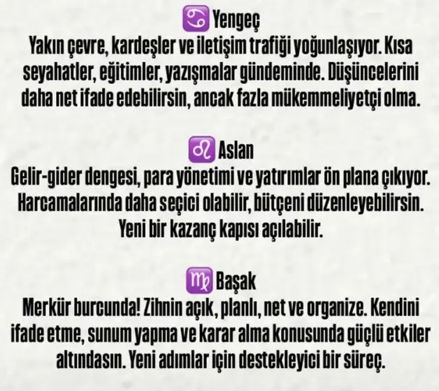 merbas2 (2).webp